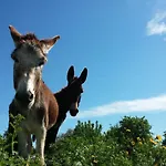 Casale Dei Giardini Alloggio per agriturismo