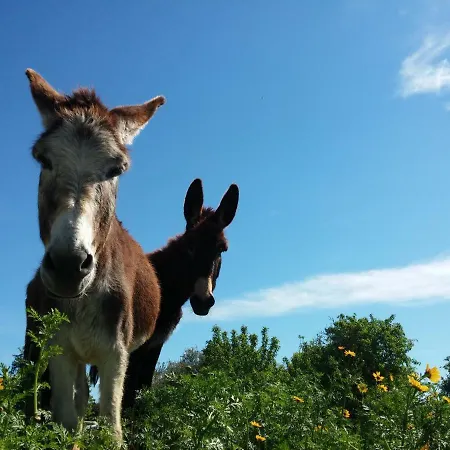 Casale Dei Giardini Gospodarstwo agroturystyczne