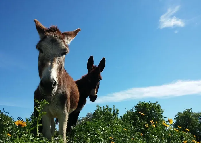 Casale Dei Giardini Séjour à la ferme